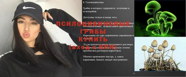 мяу мяу мука Коряжма
