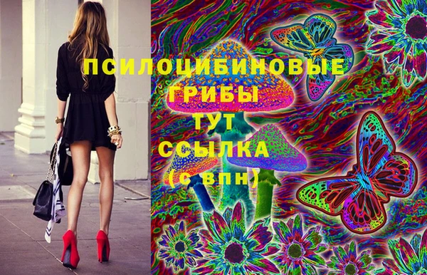 мяу мяу мука Коряжма