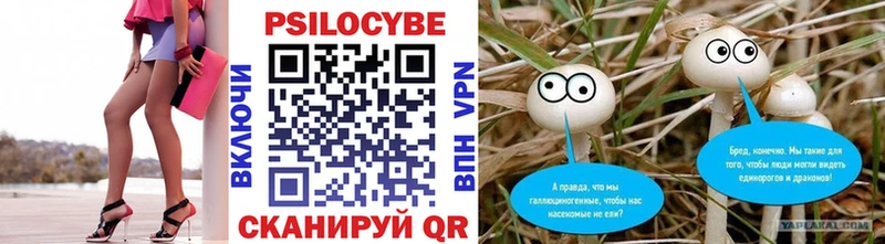 Купить  Саяногорск  Галлюциногенные грибы прущие грибы 